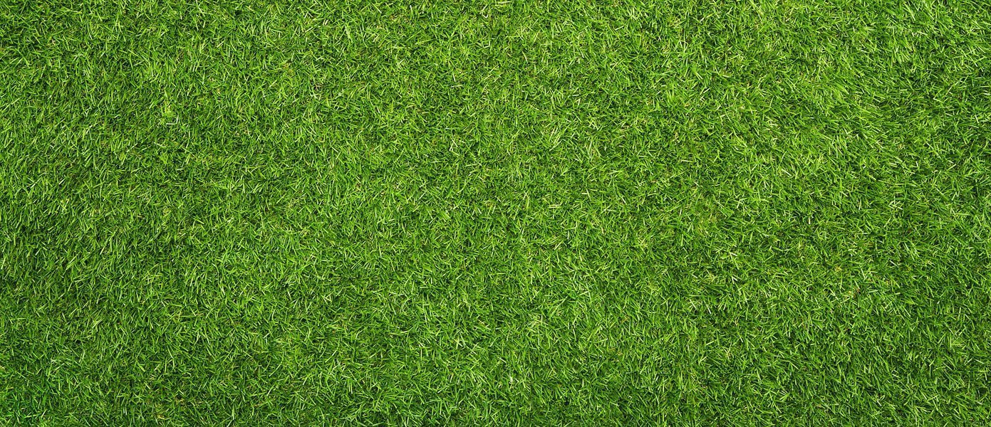 ΒΙΟΛΟΓΙΚΟΣ ΚΑΘΑΡΙΣΜΟΣ ΣΥΝΘΕΤΙΚΟΥ ΓΡΑΣΙΔΙΟΥ